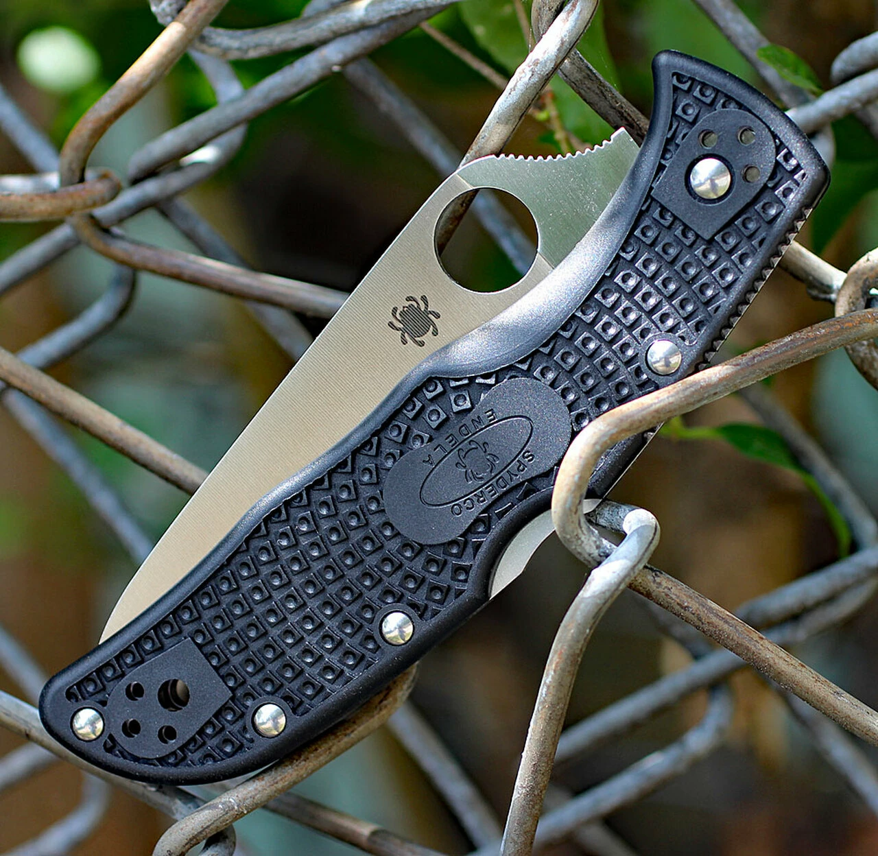 Spyderco Knives Spyderco Endela Lightweight C243SBK, 3.41" VG-10 Spyder Blade, Black FRN Handle 4 Spyderco Knives Spyderco Endela Lightweight C243SBK, 3.41" VG-10 Spyder Blade, Black FRN Handle - Image 4