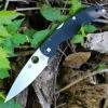 Spyderco Knives Spyderco Native Chief C244GP, 4.08" Cpm S30V Plain Blade, Black G-10 Handle