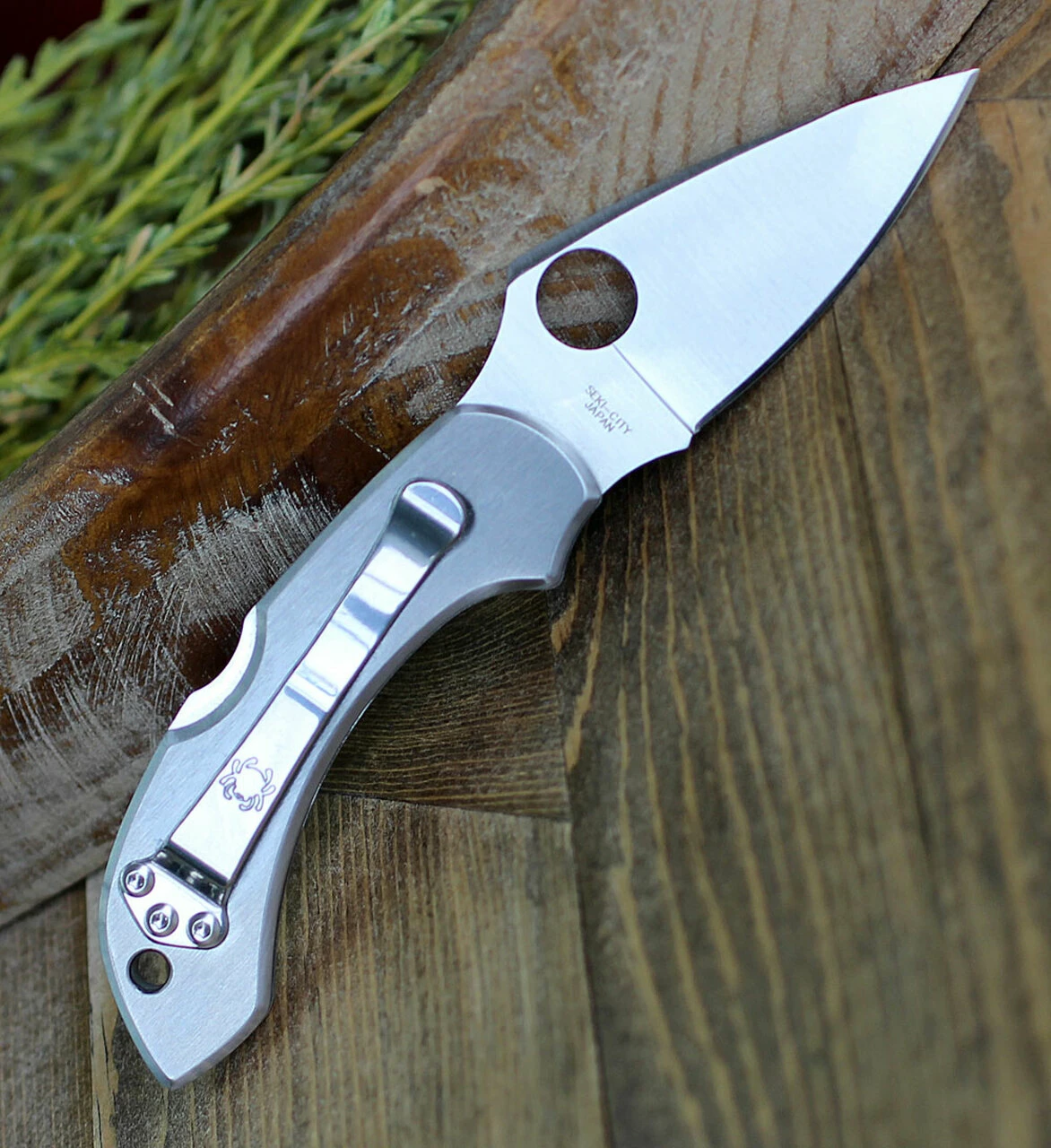 Spyderco Knives Spyderco C28P Dragonfly, 2.313" VG-10 Plain Blade, Stainless Handle 2 Spyderco Knives Spyderco C28P Dragonfly, 2.313" VG-10 Plain Blade, Stainless Handle - Image 2