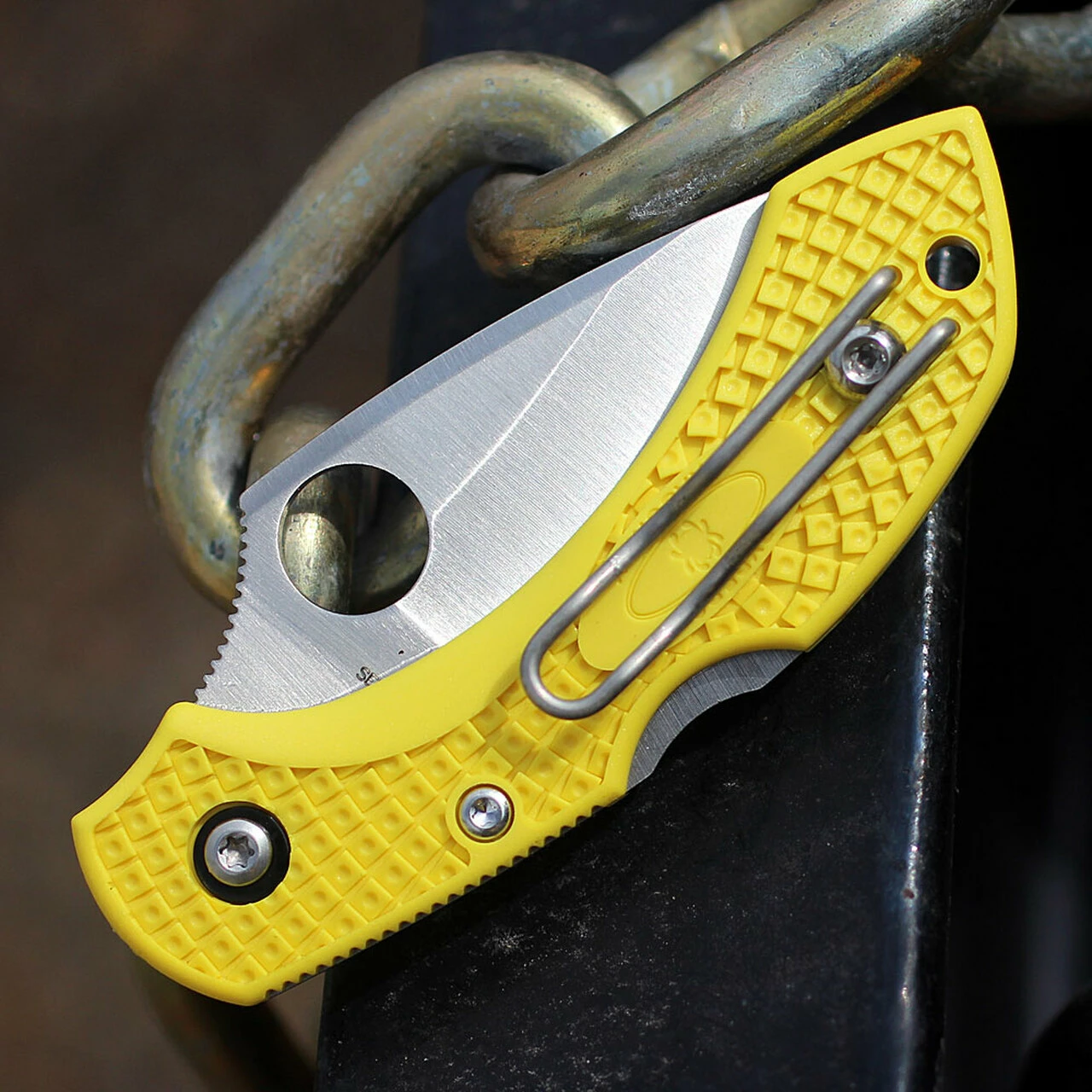 Spyderco Knives Spyderco C28PYL2 Dragonfly 2 Salt, 1.875" H-1 Plain Blade, FRN Handle 4 Spyderco Knives Spyderco C28PYL2 Dragonfly 2 Salt, 1.875" H-1 Plain Blade, FRN Handle - Image 4