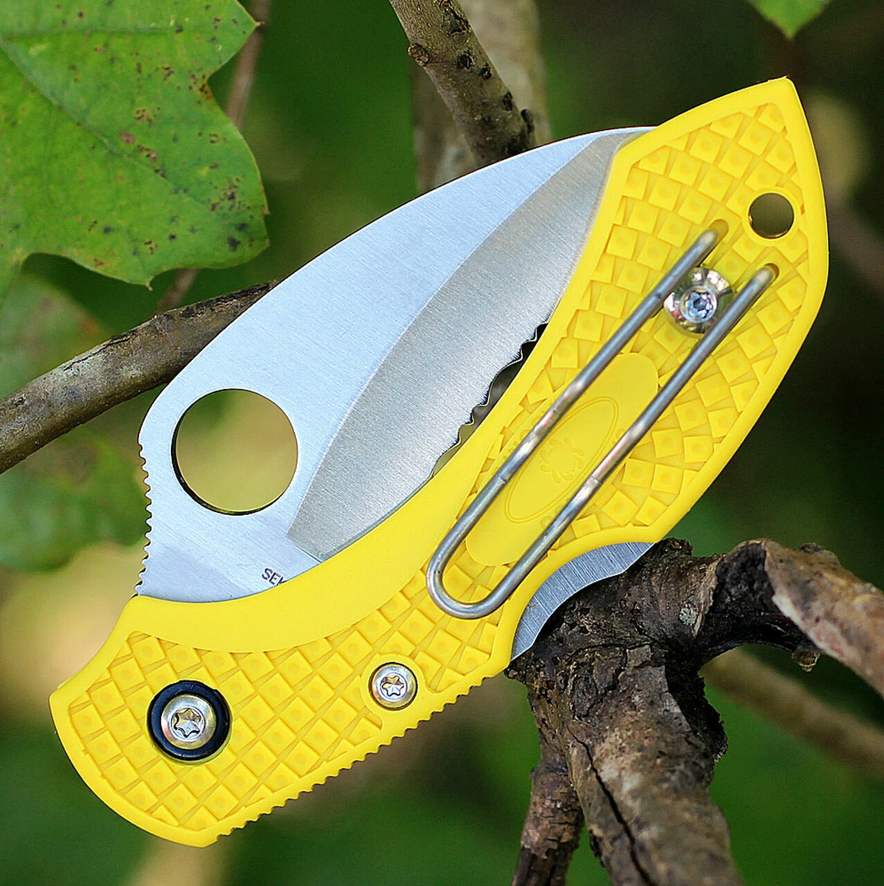 Spyderco Knives Spyderco Dragonfly2 Hawkbill Salt C28SYL2HB, 2.3 in. H-1 Serrated Blade, Yellow FRN Handle 3 Spyderco Knives Spyderco Dragonfly2 Hawkbill Salt C28SYL2HB, 2.3 in. H-1 Serrated Blade, Yellow FRN Handle - Image 3