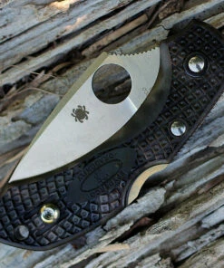 Spyderco Knives Spyderco Dragonfly 2 Zome Green Lightweight C28ZFPGR2, 2.30" VG-10 Plain Blade 7 Spyderco Knives Spyderco Dragonfly 2 Zome Green Lightweight C28ZFPGR2, 2.30" VG-10 Plain Blade -Buck Knives Sales c28zfpgr2.3 79405.1566585890