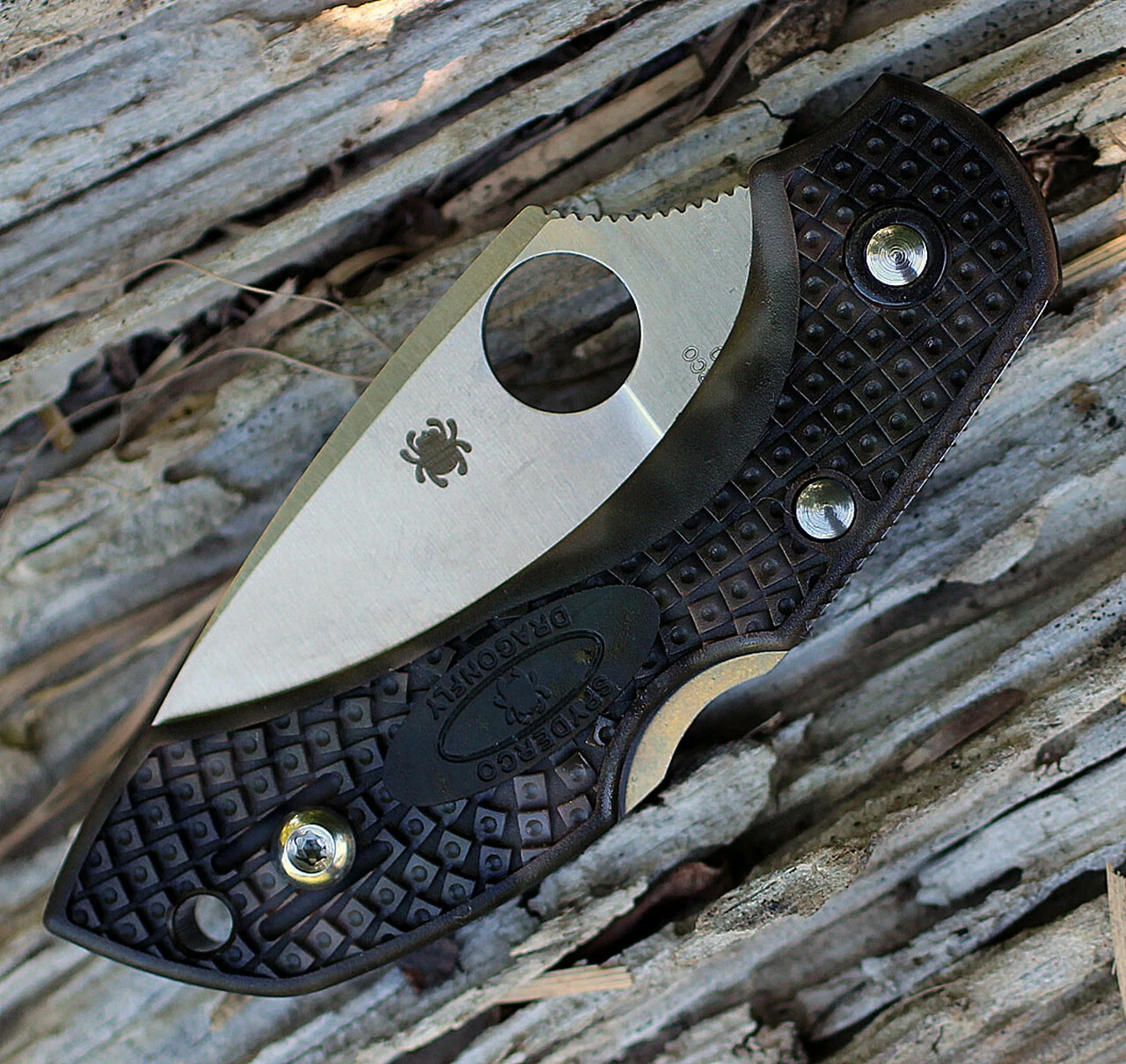 Spyderco Knives Spyderco Dragonfly 2 Zome Green Lightweight C28ZFPGR2, 2.30" VG-10 Plain Blade 4 Spyderco Knives Spyderco Dragonfly 2 Zome Green Lightweight C28ZFPGR2, 2.30" VG-10 Plain Blade - Image 4