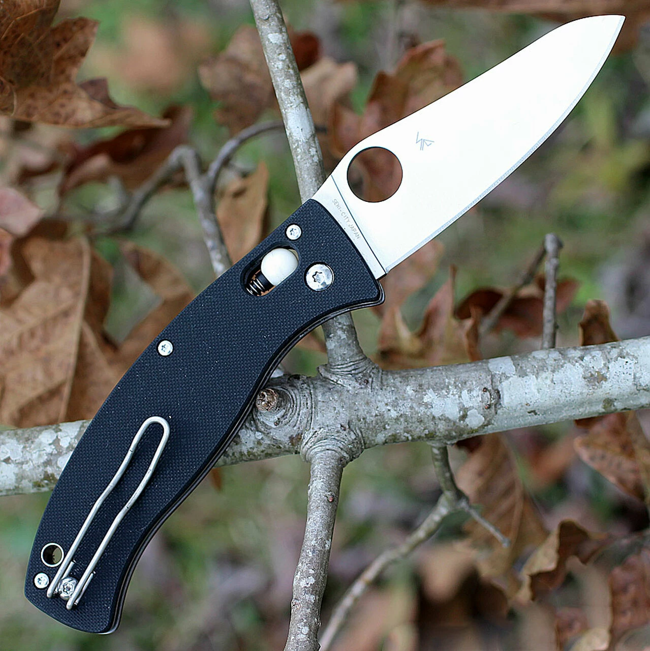 Spyderco Knives Spyderco C82GP3 D’Allara 3, 3.30 in CPM S30V plain Blade, G-10 Handle 2 Spyderco Knives Spyderco C82GP3 D’Allara 3, 3.30 in CPM S30V plain Blade, G-10 Handle - Image 2