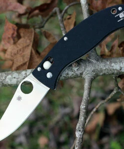 Spyderco Knives Spyderco C82GP3 D’Allara 3, 3.30 in CPM S30V plain Blade, G-10 Handle