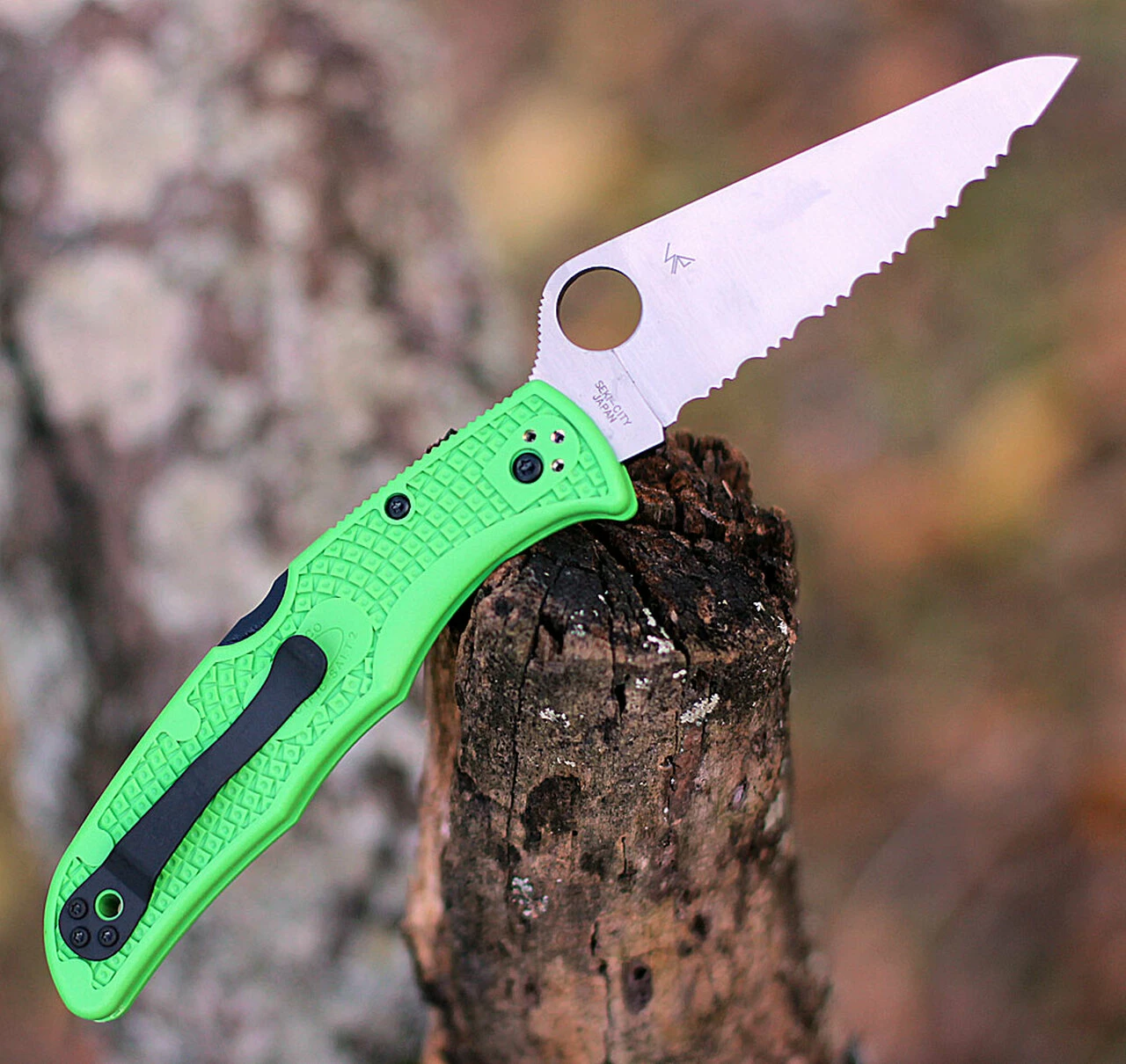 Spyderco Knives Spyderco Pacific Salt 2 C91FSGR2, 3.78" LC200N Satin SpyderEdge Blade, Green FRN Handle 2 Spyderco Knives Spyderco Pacific Salt 2 C91FSGR2, 3.78" LC200N Satin SpyderEdge Blade, Green FRN Handle - Image 2