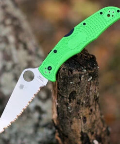 Spyderco Knives Spyderco Pacific Salt 2 C91FSGR2, 3.78" LC200N Satin SpyderEdge Blade, Green FRN Handle