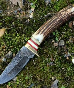Damascus Blade Knife Damascus 1046 Whitetail Skinner, 3.75" Damascus Plain Blade, Round Stag Handle