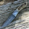 Damascus Blade Knife Damascus 1050RM Hunter, 4" Damascus Plain Blade, Ram's Horn Handle