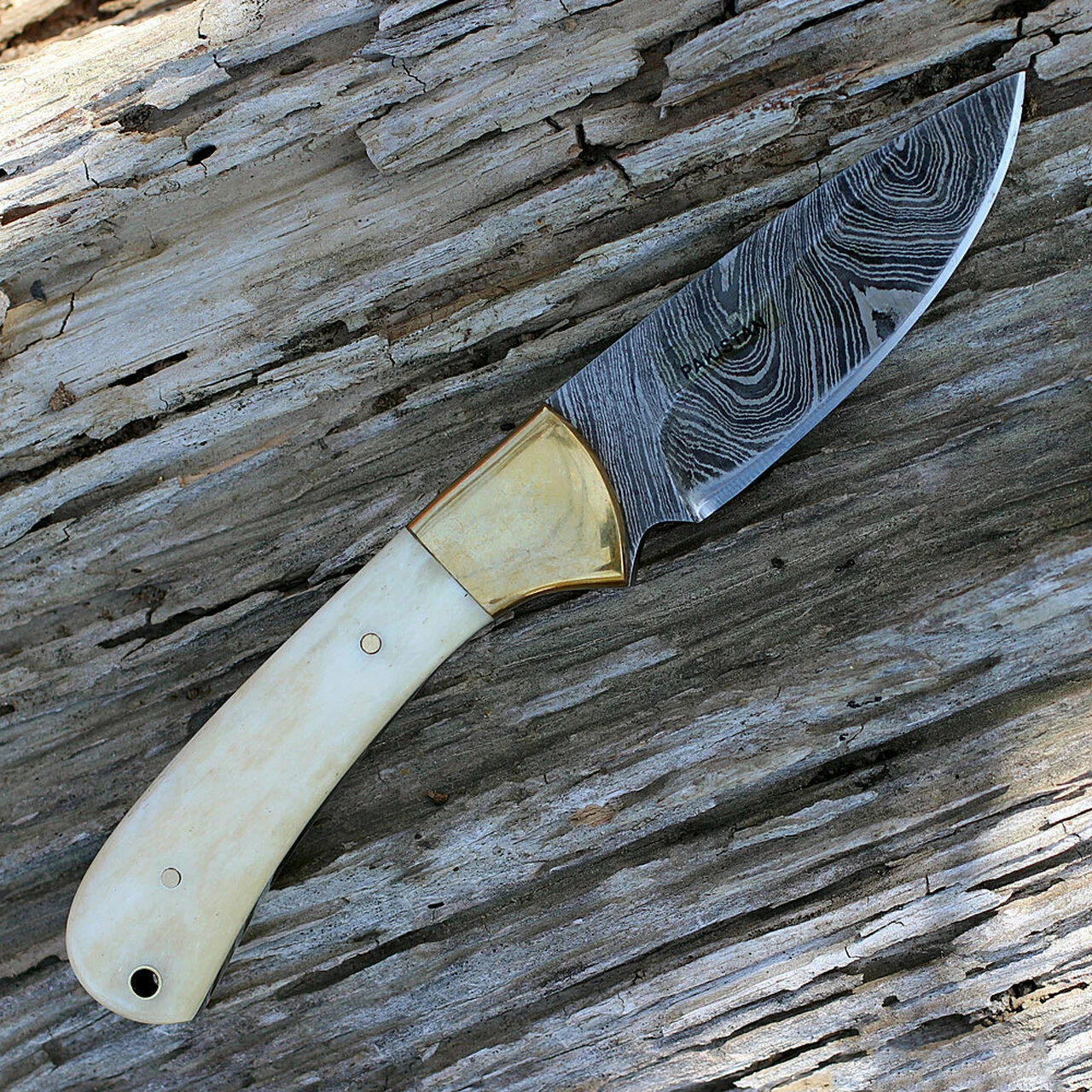 Damascus Blade Knife Damascus 1129 Small Skinner, 3" Damascus Plain Blade, Natural Bone Handle 2 Damascus Blade Knife Damascus 1129 Small Skinner, 3" Damascus Plain Blade, Natural Bone Handle - Image 2