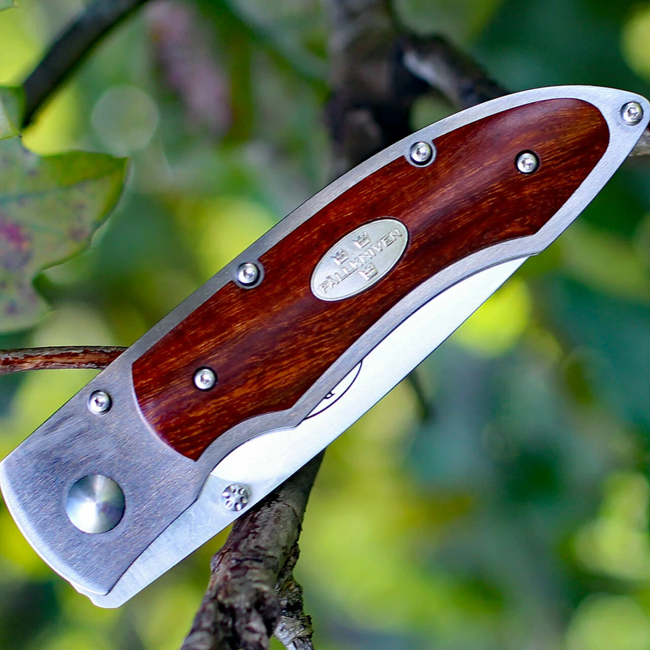 Fallkniven P Framelock Folding knife, 3" 3G Satin Blade, Desert Wood Ironwood Handle, Nylon Sheath 3 Fallkniven P Framelock Folding knife, 3" 3G Satin Blade, Desert Wood Ironwood Handle, Nylon Sheath - Image 3