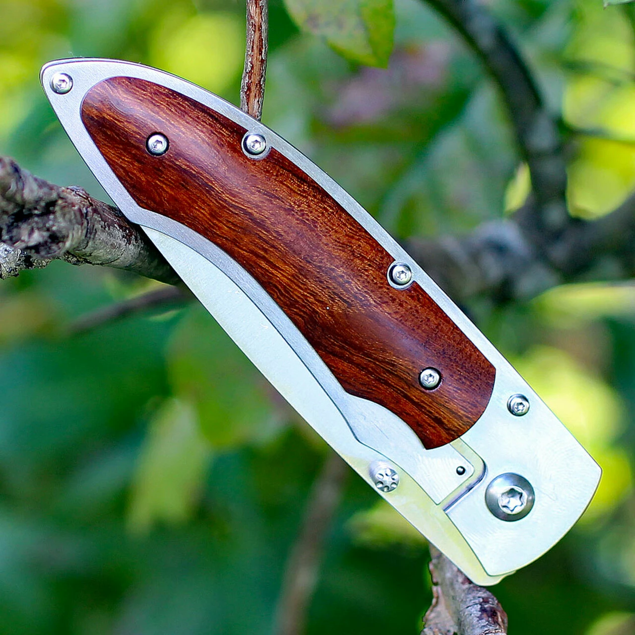 Fallkniven P Framelock Folding knife, 3" 3G Satin Blade, Desert Wood Ironwood Handle, Nylon Sheath 4 Fallkniven P Framelock Folding knife, 3" 3G Satin Blade, Desert Wood Ironwood Handle, Nylon Sheath - Image 4