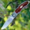 Fallkniven P Framelock Folding knife, 3" 3G Satin Blade, Desert Wood Ironwood Handle, Nylon Sheath