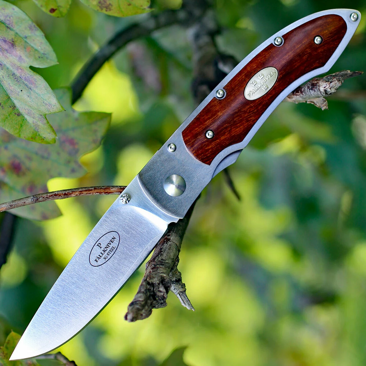 Fallkniven P Framelock Folding knife, 3" 3G Satin Blade, Desert Wood Ironwood Handle, Nylon Sheath 1 Fallkniven P Framelock Folding knife, 3" 3G Satin Blade, Desert Wood Ironwood Handle, Nylon Sheath