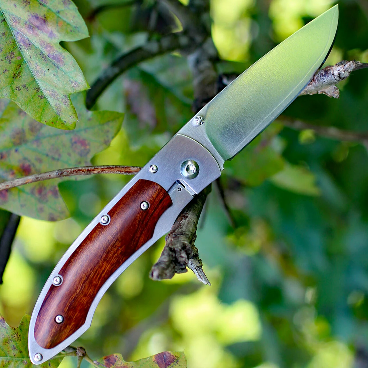 Fallkniven P Framelock Folding knife, 3" 3G Satin Blade, Desert Wood Ironwood Handle, Nylon Sheath 2 Fallkniven P Framelock Folding knife, 3" 3G Satin Blade, Desert Wood Ironwood Handle, Nylon Sheath - Image 2