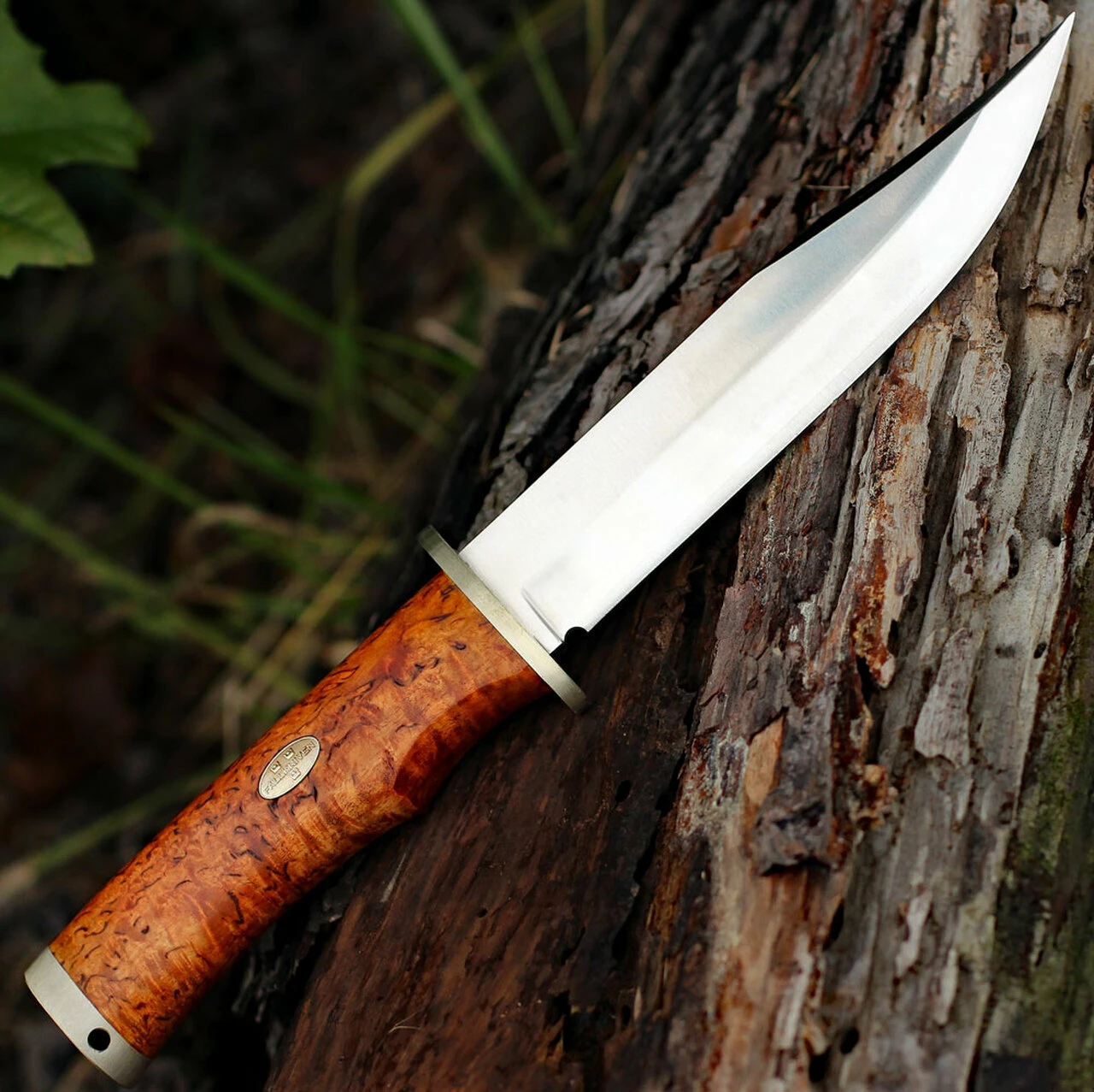 Fallkniven Krut SK6se Limited Edition, 6.22" Lam.CoS Satin Plain Blade, Curly Brich Handle 2 Fallkniven Krut SK6se Limited Edition, 6.22" Lam.CoS Satin Plain Blade, Curly Brich Handle - Image 2