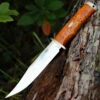 Fallkniven Krut SK6se Limited Edition, 6.22" Lam.CoS Satin Plain Blade, Curly Brich Handle
