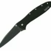 Kershaw Knives Kershaw 1660CKT Leek, 3" Sandvik 14C28N Plain Blade, 410 Stainless Handle