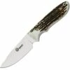Boker Pine Creek, T6MoV Steel, Genuine Stag Handles
