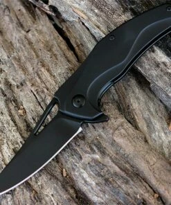 Brous Blades The Exo D2 Black Finish Blade Blackout Titanium Handle flipper