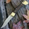 Buck Knives Buck 110BRS Folding Hunter, 3.75" 420HC Plain Blade, Woodgrain Handle, Leather Sheath