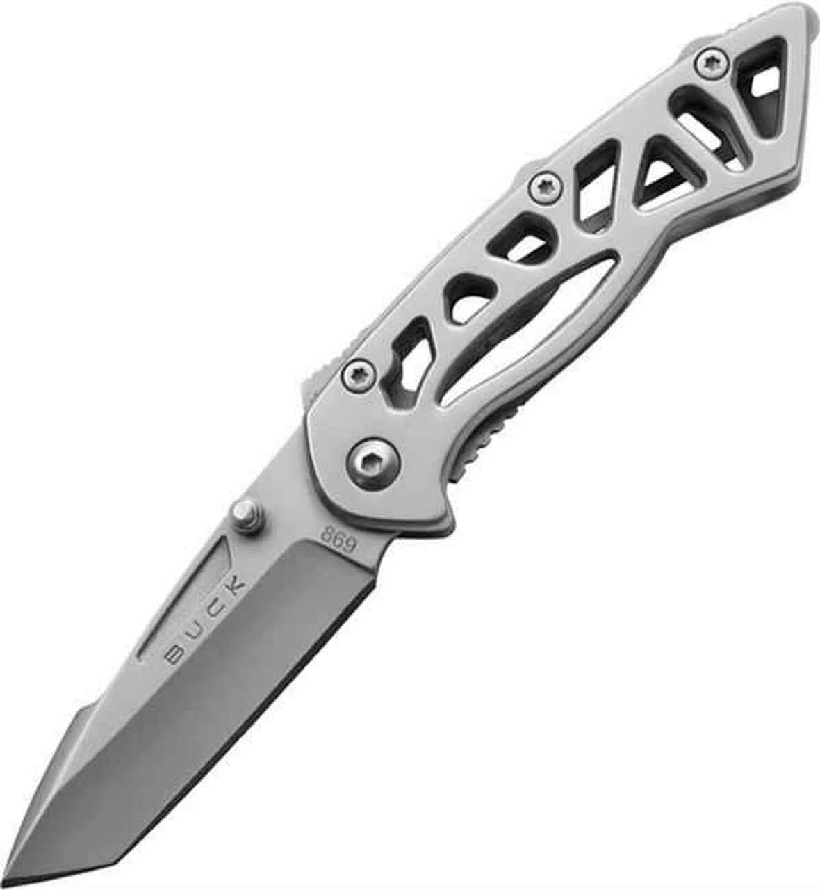 Buck Knives Buck 869SSS Small Bones, 2.125" 420HC Plain Blade, Stainless 1 Buck Knives Buck 869SSS Small Bones, 2.125" 420HC Plain Blade, Stainless