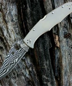 Spyderco Knives Spyderco C10TIPD Endura 4 Titanium Damascus/VG-10 Steel, Titanium Handle