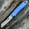 Spyderco Knives Spyderco Roadie Slipjoint - Blue FRN (2.09"N690co PlainEdge) C189PBL