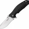 Dendra Knives Dendra Typhoon, D2 Tool Steel Satin Finish Blade