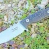 Dendra Knives Dendra Russian Bear Fixed Blade, Satin Niolox Steel, Black Micarta Handle