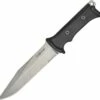 Du Star Du-Star Model Dimona, D2 Steel, Black FRN Handle