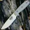ESEE Knives *ESEE 4P-MB-DT Desert Tan Blade, With Molle Back and Clip Plate, Plain Edge