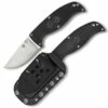 Spyderco Knives Spyderco Enuff FB31CPBK Clip Point, VG-10 Steel, Plain Edge