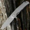 LionSteel Lion Steel T.R.E. Three Rapid Exchange Folder, 2.91 in. M390 Blade, Matte Titanium Handles, Gray Accents