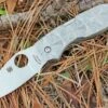 Spyderco Knives Spyderco Chaparral Stepped Titanium C152STIP, 2.75" CTS XHP Plain Blade