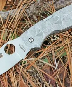 Spyderco Knives Spyderco Chaparral Stepped Titanium C152STIP, 2.75" CTS XHP Plain Blade