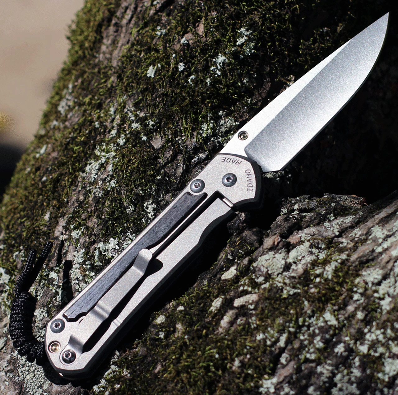 Chris Reeve Large Sebenza 31 Bog Oak Inlay, 3.61" CPM S45VN Stonewashed Drop Point Blade, Matte-Blasted Handle (L31-1100) 2 Chris Reeve Large Sebenza 31 Bog Oak Inlay, 3.61" CPM S45VN Stonewashed Drop Point Blade, Matte-Blasted Handle (L31-1100) - Image 2