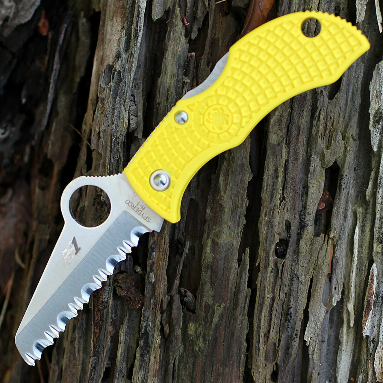 Spyderco Knives Spyderco MYLS Manbug Salt, 1.9" H1 Serrated Blade, Yellow FRN Handle 1 Spyderco Knives Spyderco MYLS Manbug Salt, 1.9" H1 Serrated Blade, Yellow FRN Handle
