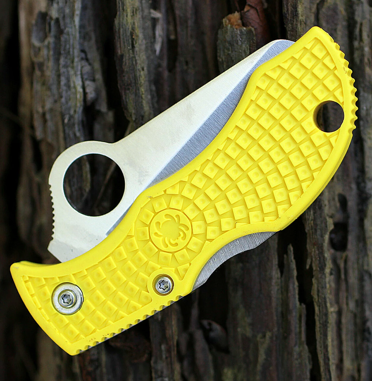Spyderco Knives Spyderco MYLS Manbug Salt, 1.9" H1 Serrated Blade, Yellow FRN Handle 4 Spyderco Knives Spyderco MYLS Manbug Salt, 1.9" H1 Serrated Blade, Yellow FRN Handle - Image 4
