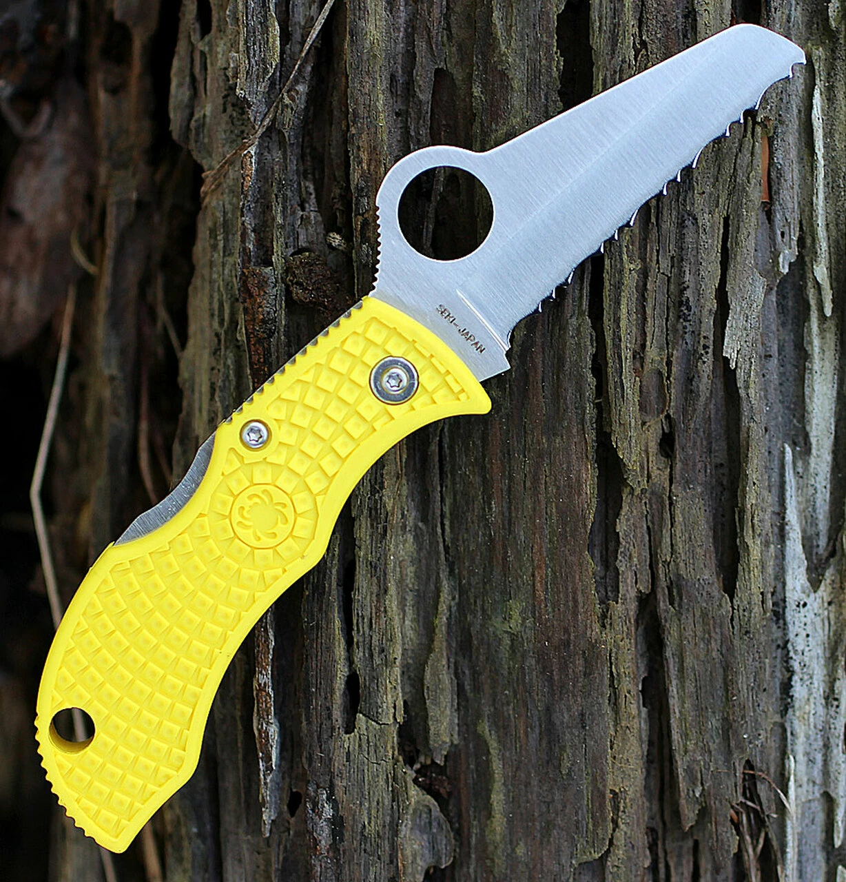 Spyderco Knives Spyderco MYLS Manbug Salt, 1.9" H1 Serrated Blade, Yellow FRN Handle 2 Spyderco Knives Spyderco MYLS Manbug Salt, 1.9" H1 Serrated Blade, Yellow FRN Handle - Image 2