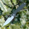 Rike Knife 802GOD Framelock, 3.75" 154CM Plain Blade, OD Green Titanium/G-10 Handle