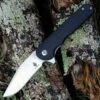 Kizer Cutlery V3454A1 Flashbang Flipper, 3.06" VG-10 Clip Point Satin Blade, Black G10 Handle