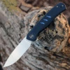 WE Knife Co. Seer - Black Ti (3.48" CPM-20CV) 20015-1 Limited Edition
