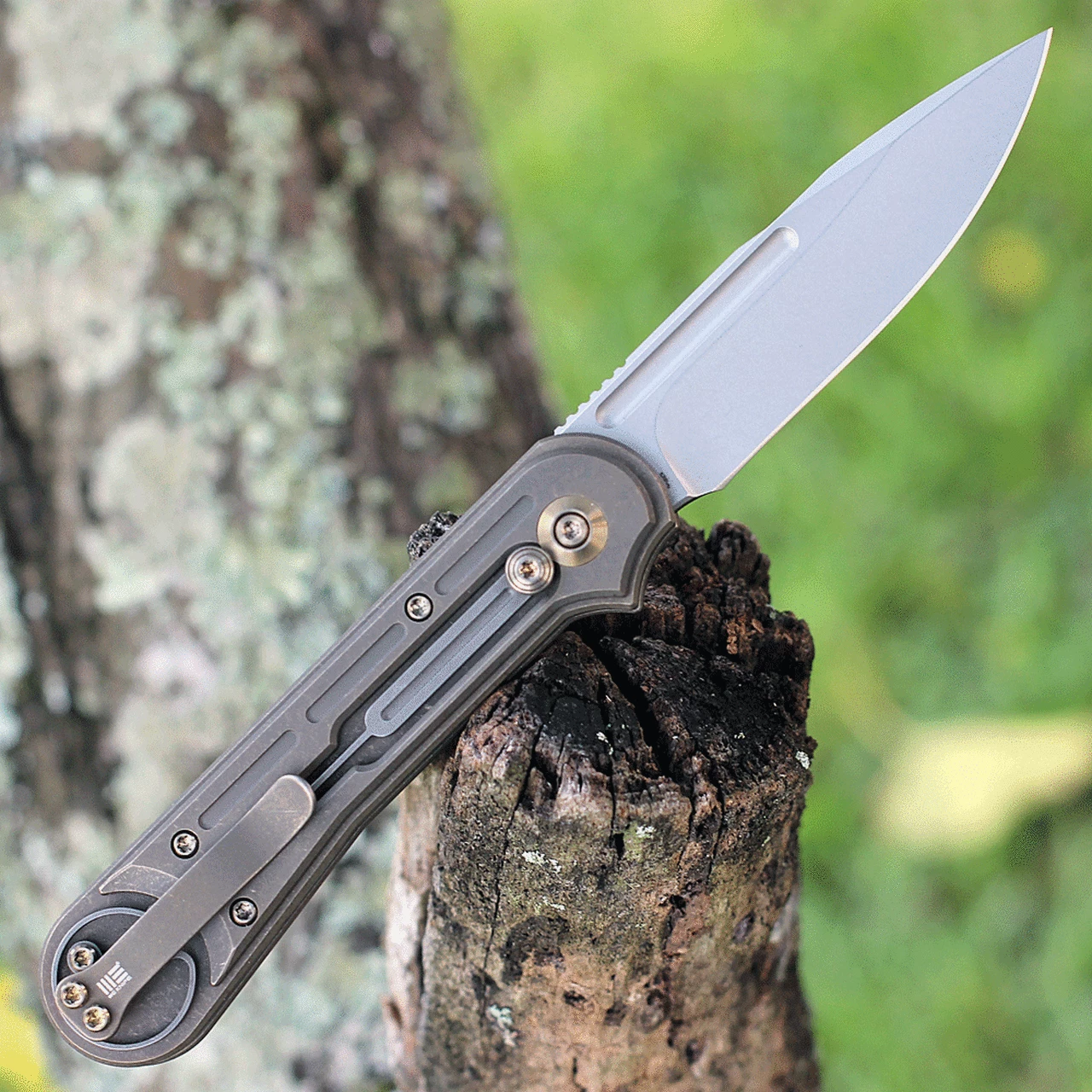We Knife Co. We Knife Double Helix Folder 815B, 3.3" CPM S35VN Stonewash Drop Point Plain Blade, Bronze Titanium Handle 2 We Knife Co. We Knife Double Helix Folder 815B, 3.3" CPM S35VN Stonewash Drop Point Plain Blade, Bronze Titanium Handle - Image 2