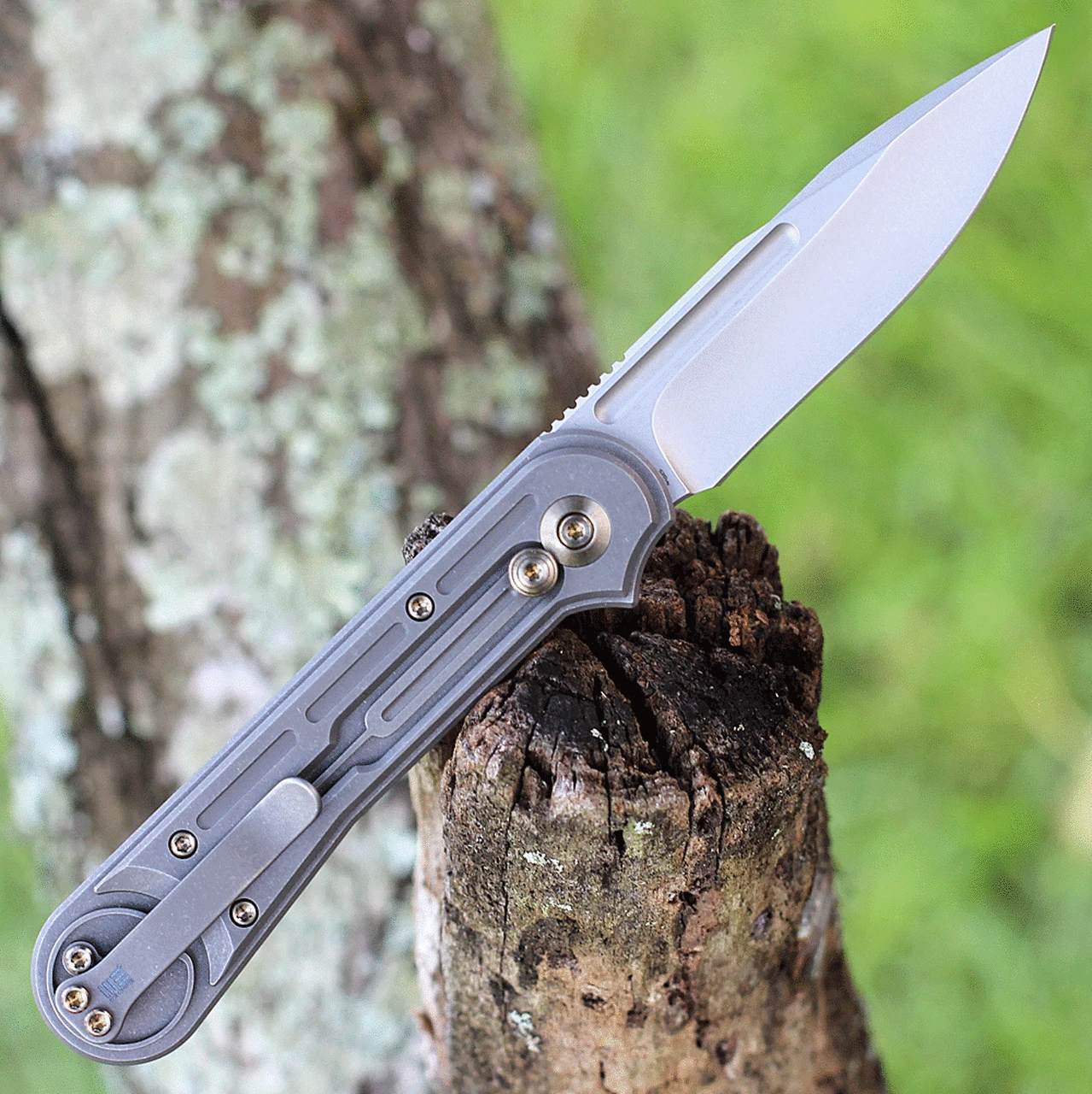 We Knife Co. We Knife Double Helix Folder 815F, 3.3" CPM S35VN Stonewash Drop Point Plain Blade, Gray Titanium Handle 2 We Knife Co. We Knife Double Helix Folder 815F, 3.3" CPM S35VN Stonewash Drop Point Plain Blade, Gray Titanium Handle - Image 2